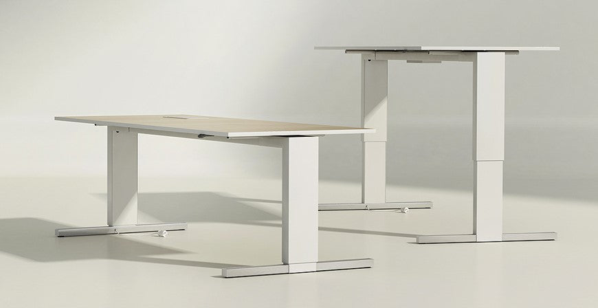 TE Desk